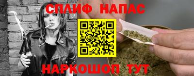 индика Будённовск