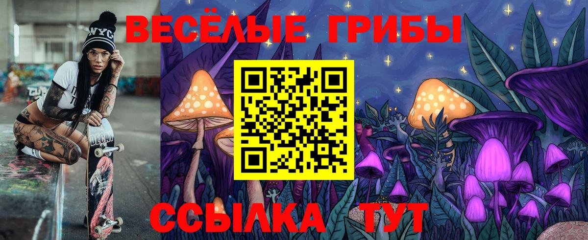 Псилоцибиновые грибы Cubensis Нижний Новгород